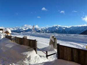 Chalet in Zillertal near Ski Slopes