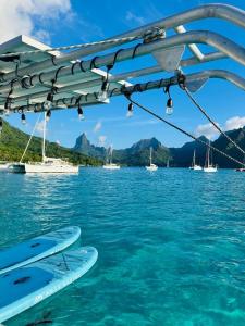 Séjour sur un catamaran, paddle et snorkeling