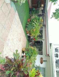 Creole Cottage Homestay