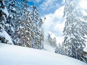 Chalet in Neukirchen near Ski Lifts