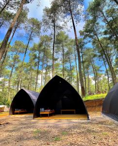 Be Glamping Lembang