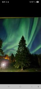 Tervetuloa nauttimhaan puhtaasta luonnosta Pelhoon