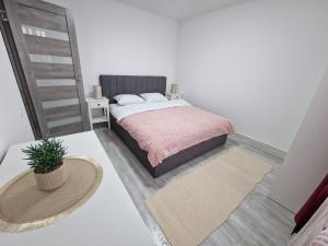 Central Comfort Apartment