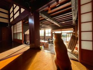 temple stay 玉林寺