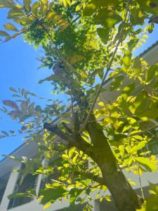 บุณยาเพลส เด่นชัย แพร่