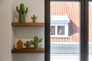 The Sassy Summit - Chic Comfort Views & Good Vibe