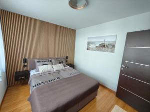 Luxury apartment Elis with private pool