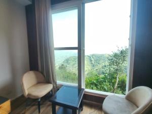 Dolphin Peaceful Location Resort