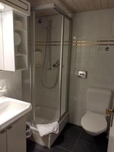 Studio mit Wellness, Goms