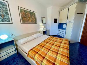 Homely flat with terrace