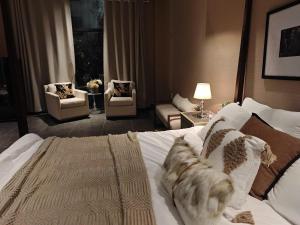 Nhà phố View Công Viên 36HA - Ubytování bez kategorie ve městě Gò Công