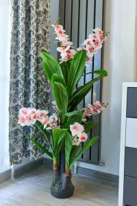 Apartament Malibu by ALZ