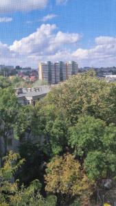 Apartament Back