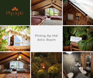 Phong Lu Homestay Dalat