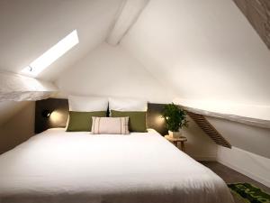 Studio Verde - Disney - Meaux City Center - Paris