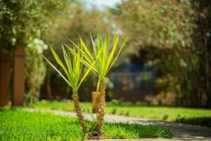 Villa Provence - Pool and Private Garden