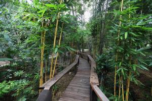 206 Wan Warn, 3 wooden houses in Kaeng Krachan Forest