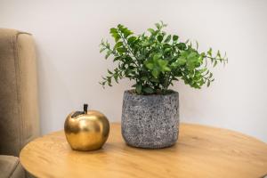 Elegant Dimitra, Your Beautiful Home in Athens, by Acropolin