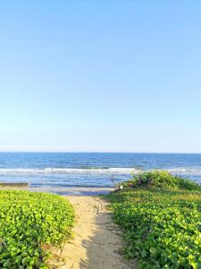 Sea Home - Sea Night