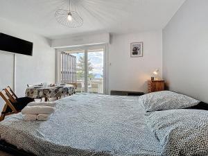 Le Zénith - Studio - cabine - Centre - Parking