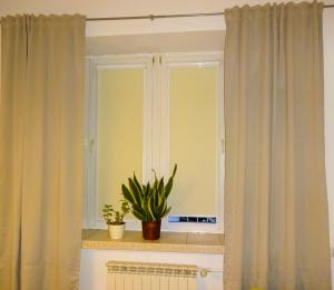 Apartament Wspólna Elango