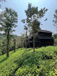 Fresh Wave Resort And Pool Villa Soochipara