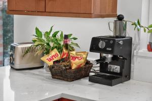 Central Belfast Apartments Rosetta Residence