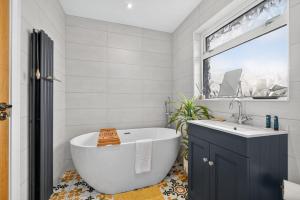 Central Belfast Apartments Rosetta Residence