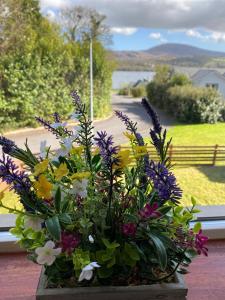 Modern bright detached home just a short stroll from town