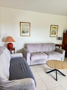 Spacious Luxury apt, 12 min walk to Croisette beach and Conf Centre
