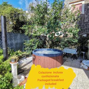 La Rondine B&B
