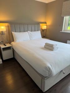 Comfort On The Green - Galway City Centre