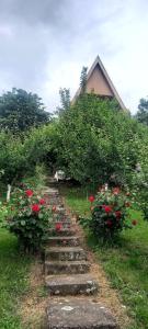 Negovanovic Vikendica