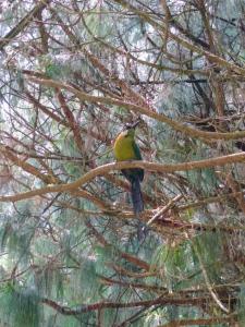 Lodge Kumbre Santa Elena Bosque Privado