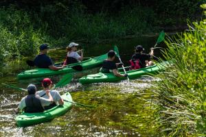 Gospodarstwo Agroturystyczne Młyn Ruda