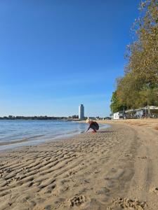 Panorama-Luxus im 21 Stockwerk !