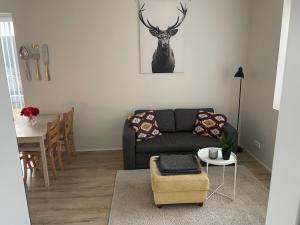 New, bright and spacious 1 bedroom apartment