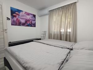 Grand Alba apartman Mezőkövesd Zsóry