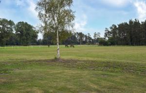 Awesome Home In Everöd With Wifi