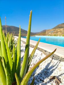 Wine House - Quinta Vale de Carvalho