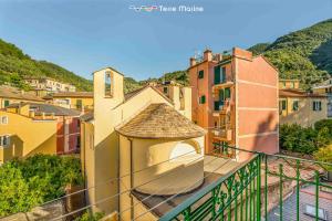 Timeless, Terre Marine