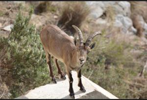 Apartamentos Axarquia , Frigiliana, terraza privada con vistas a la montaña rio y al mar