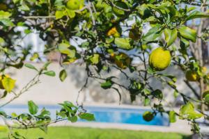 Cadizz - Villa Verde- La Barrosa