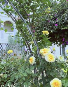 Le Macaron Garden Stay - City Boutique Hotel Da Lat