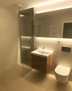 Apartment Brno Center