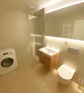 Apartment Brno Center