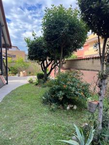 Casa Vacanze