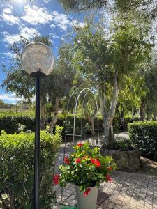 Ibiscus Beach Village