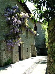 La Torre del Vicario