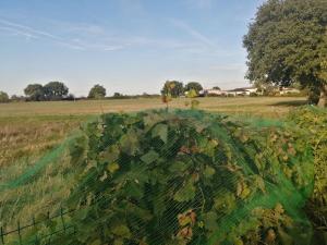 Gîte Bouconne Pibrac